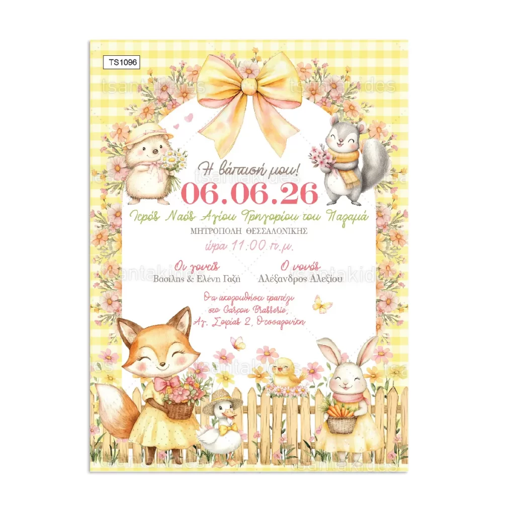 prosklitirio_baptisis_tsantakides_store_TS1096_01_cottage_animas_zwa_tis_farmas
