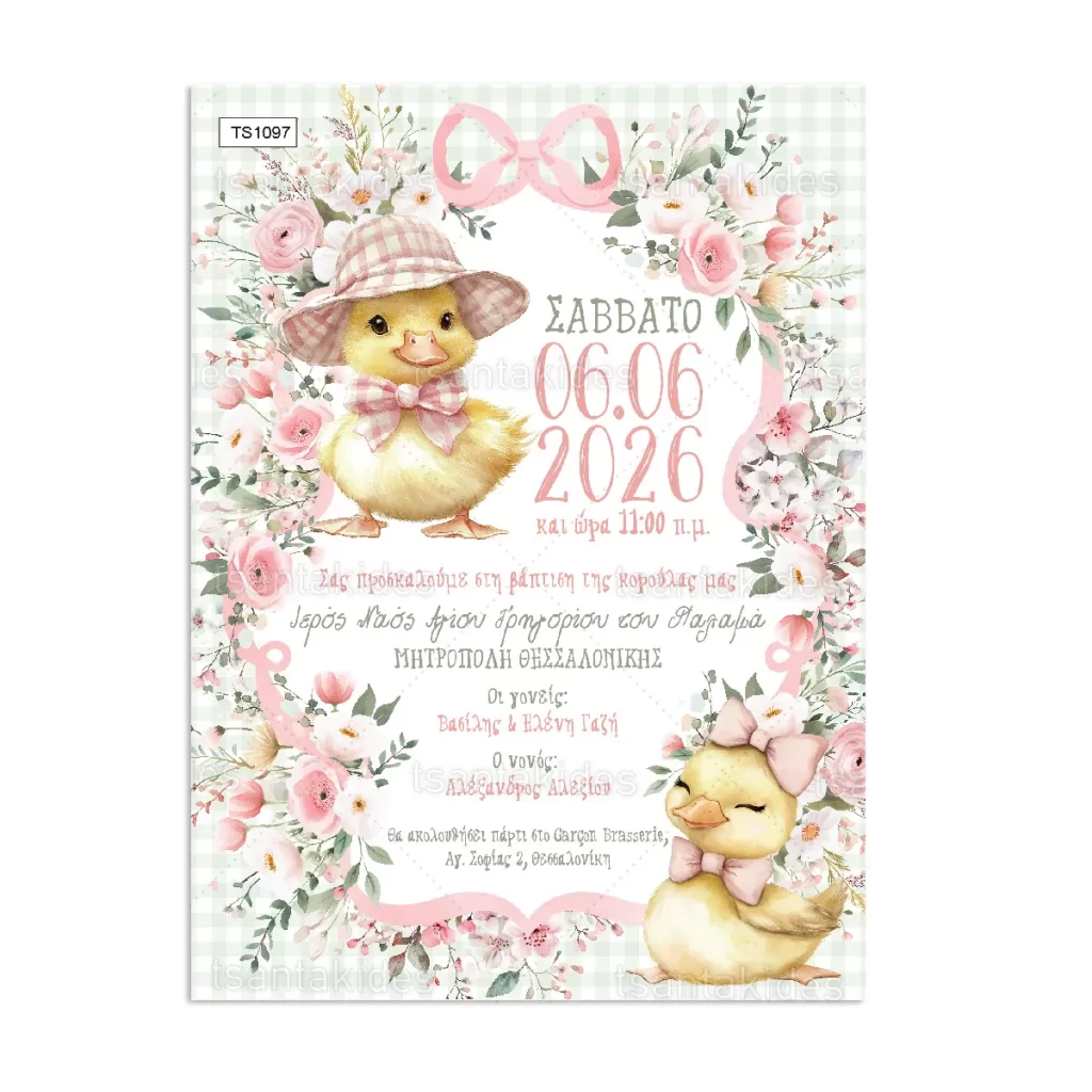 prosklitirio_baptisis_tsantakides_store_TS1097_01_ducklings_papakia